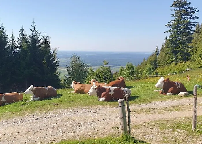 Romantisches Alpenchalet - Mit Sauna Und Kamin - Ruhig Und Zentral
