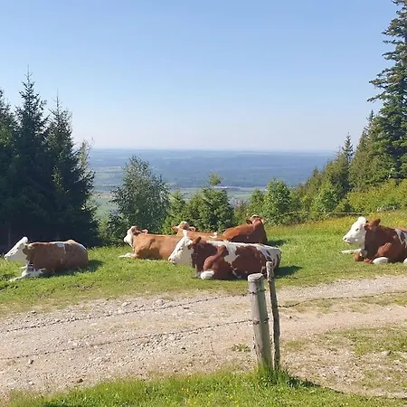 Romantisches Alpenchalet - Mit Sauna Und Kamin - Ruhig Und Zentral