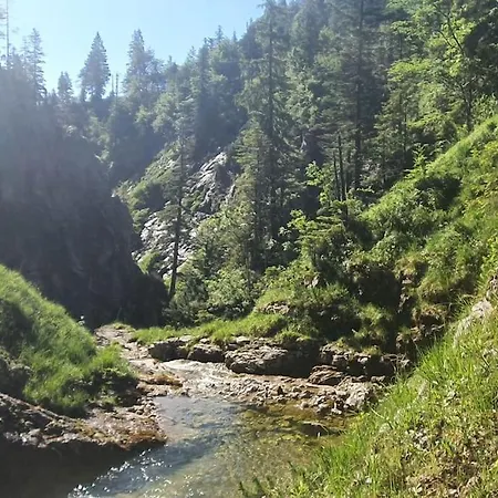 Romantisches Alpenchalet - Mit Sauna Und Kamin - Ruhig Und Zentral Apartment
